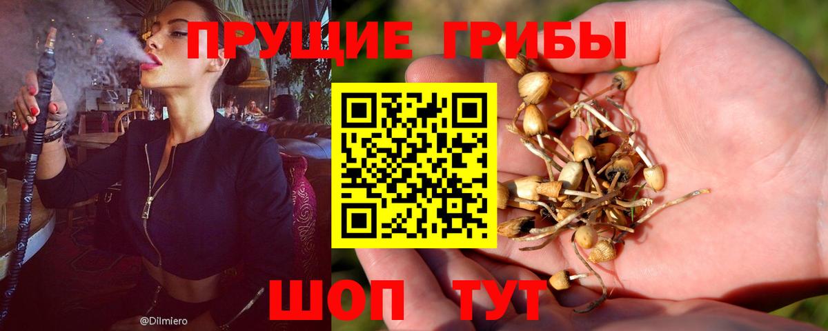 Псилоцибиновые грибы мухоморы  Вход с VPN  Димитровград 